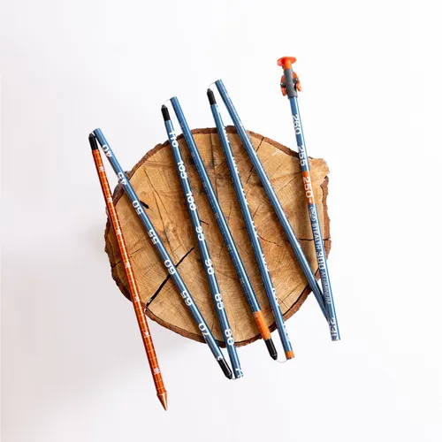 Avalanche (Avy) Probe