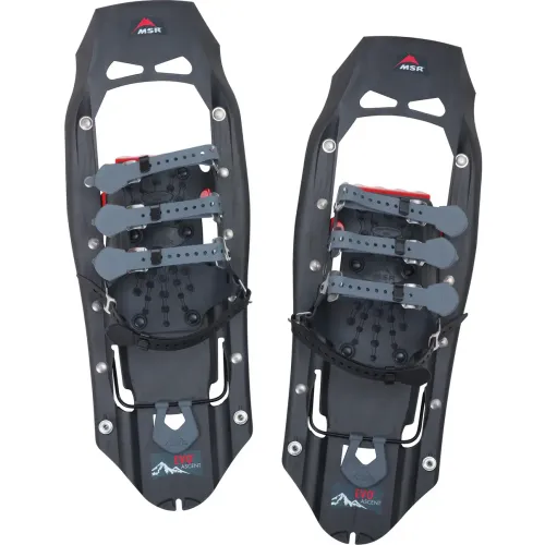 Basic Snowshoes