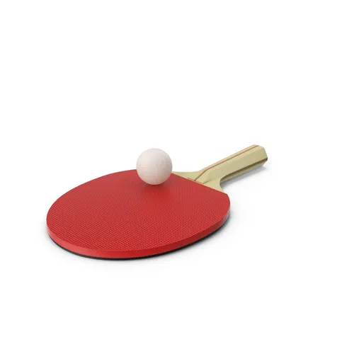Ping Pong Paddles & Balls