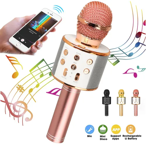 Karaoke Microphones