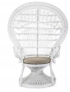 Peacock Chairs- $70 ea or both for $135