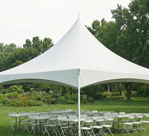 The 20x20 Backyard Social