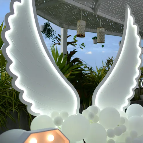 Angle Wings with Light