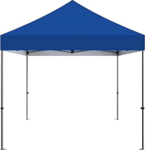 Canopy 10x10