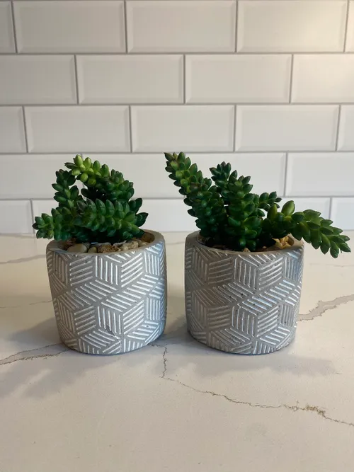 Small Grey Potted Faux Sedum
