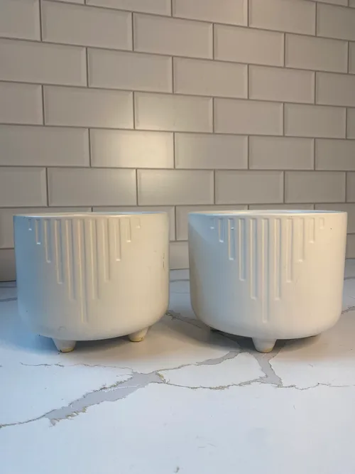 White Modern Container Set