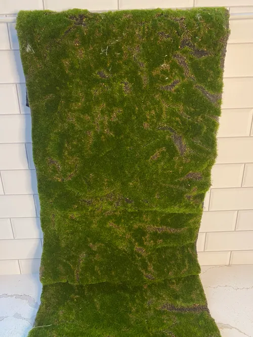 Green Moss Runner