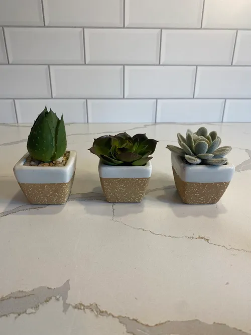 Set of 3 Mini Faux Succulents