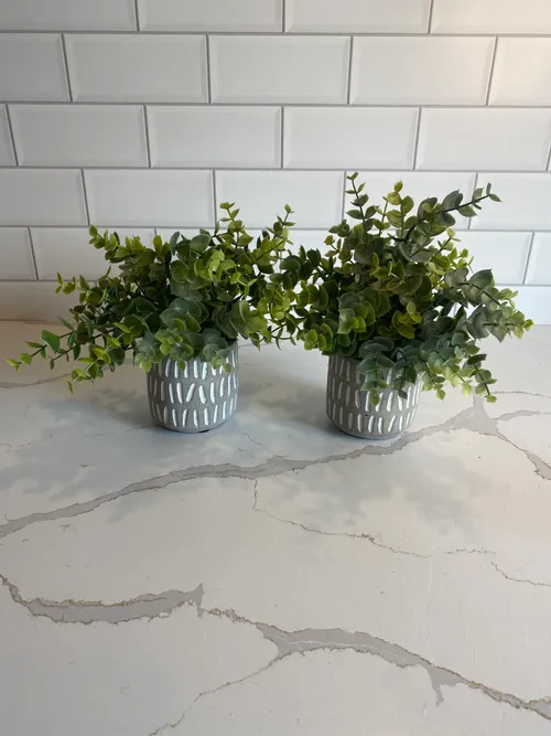 Set of 2 Faux Eucalyptus in Grey and White Pots