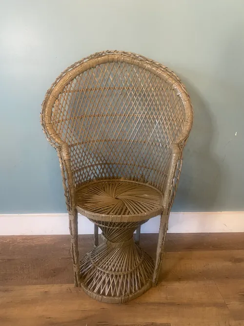 Child Sized Peacock Chair