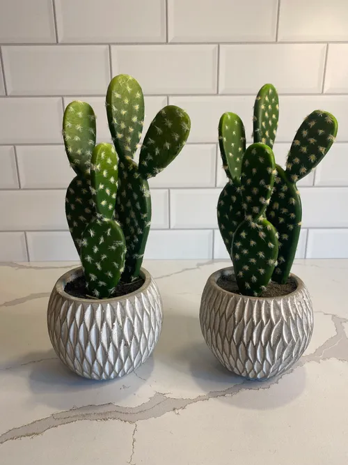 Small Potted Faux Cactus