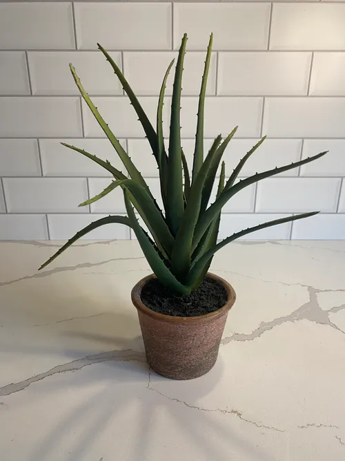 Terracotta Potted Faux Aloe Plant