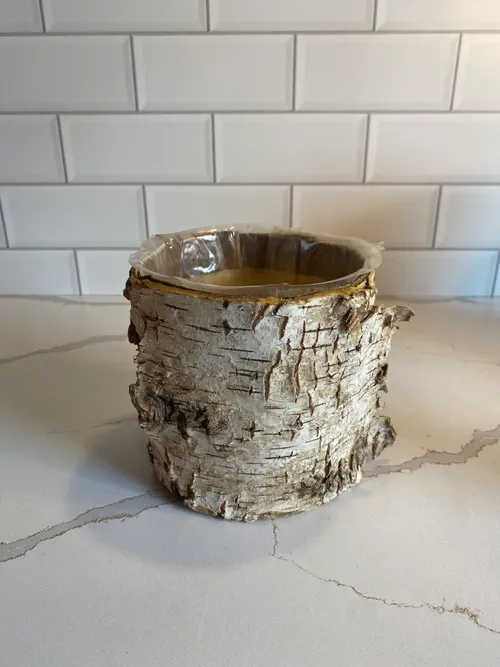 Round Birchwood Vase