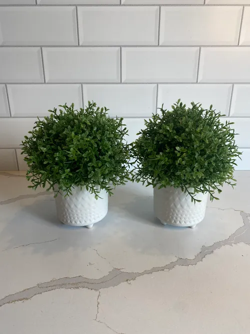 Set of 2 Faux Plants in White Pots