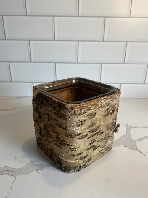Square Birchwood + Glass Vase