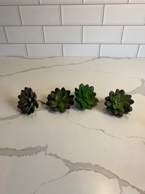 Assorted Faux Succulents