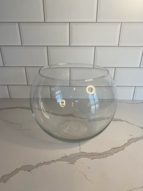 Large Fish Bowl
