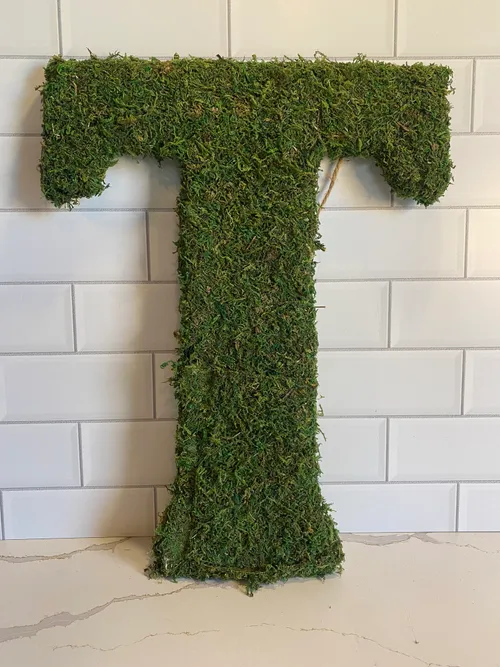 Large moss 