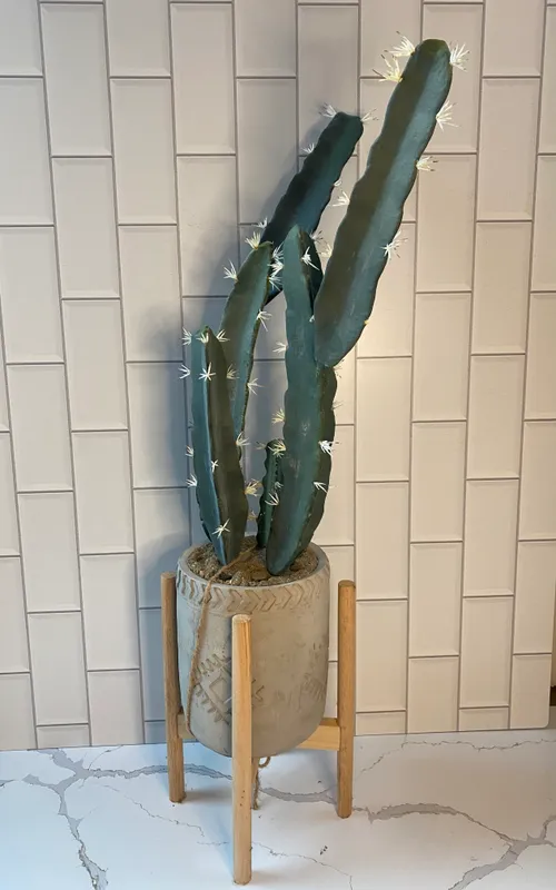 Faux Potted Cactus with Wood Stand
