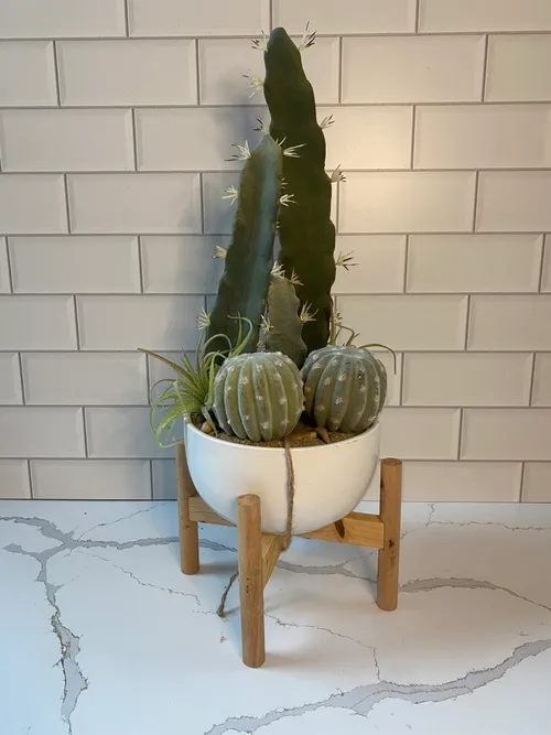 Faux White Potted Cactus with Wood Stand