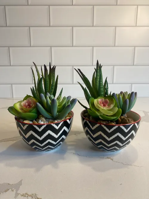 Mini Black and White Potted Faux Succulents
