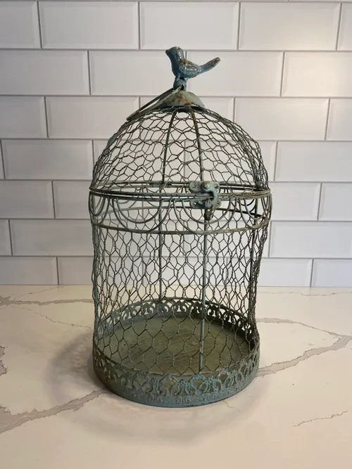 Large Blue Birdcage