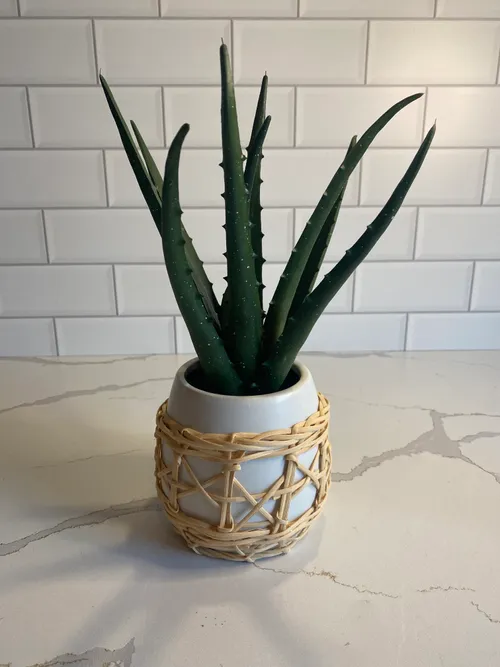 Faux Potted Aloe Plant