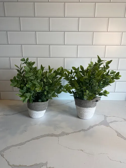 Set of 2 Faux Plants in Grey and White Baskets