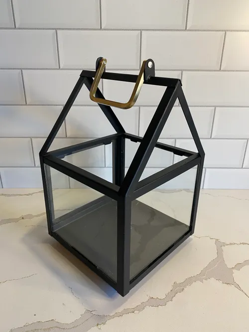 Black House Terrarium