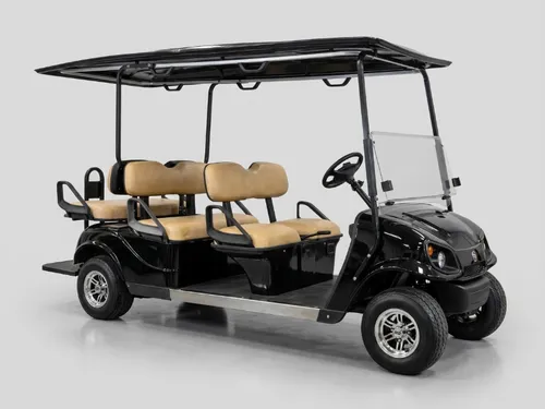 6-SEATER ELECTRIC, CM (BLACK)