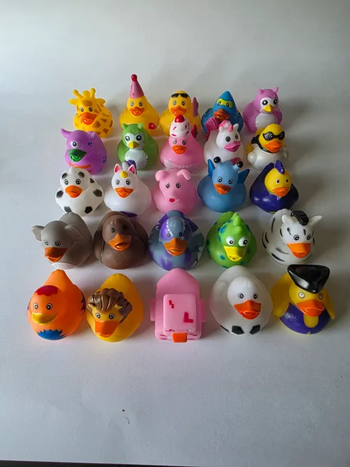 Ducks Prize Pack - 25 Ducks