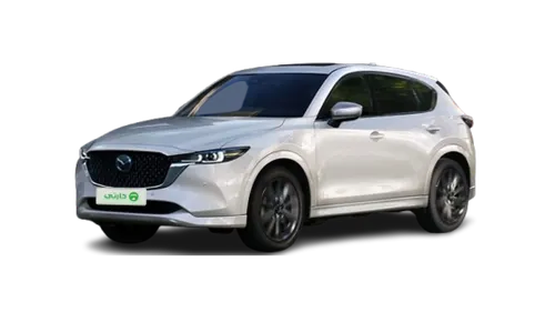 Personal Rental: 5 Seaters SUV Jolion or similar 