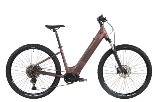 Ebike (STANDARD PLUS) 2026