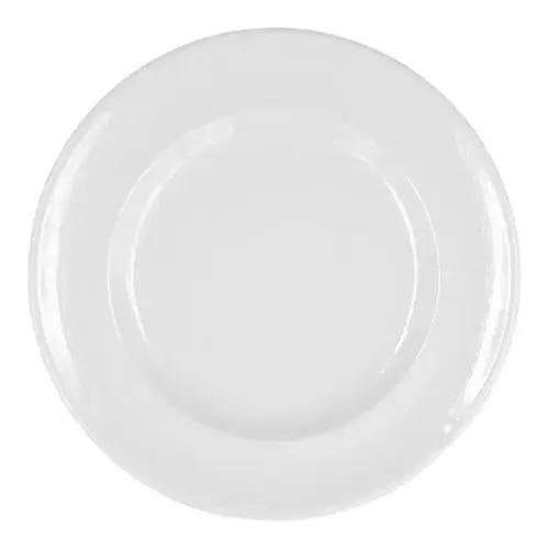 White Dinner Plate