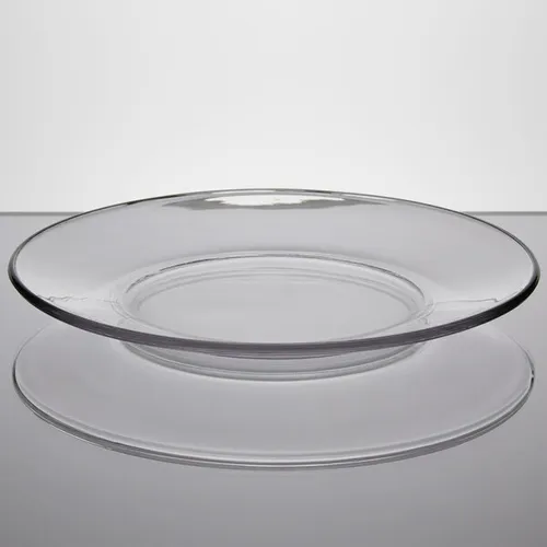 Clear Plate Glass  10