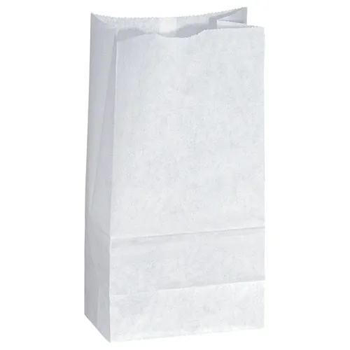 Popcorn Bags