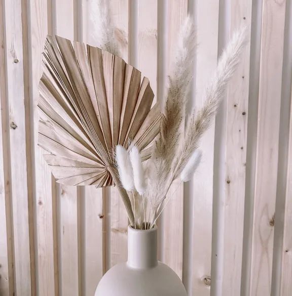 Dried Grasses and Flowers collection image