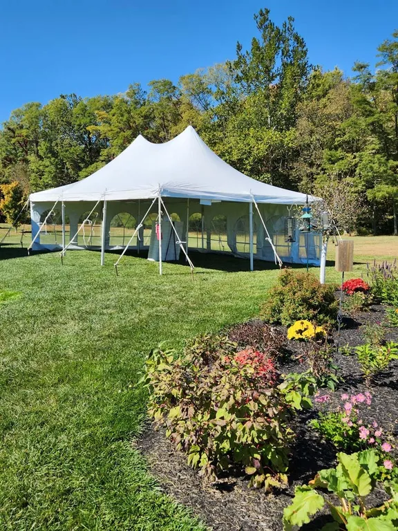 Tents collection image