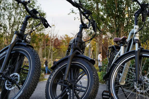 Electric bikes collection image