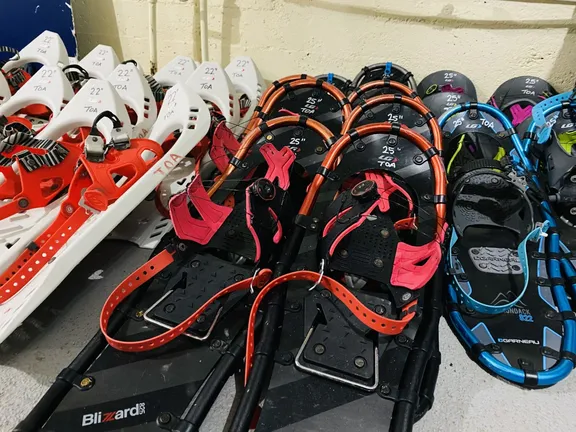 Snowshoes collection image