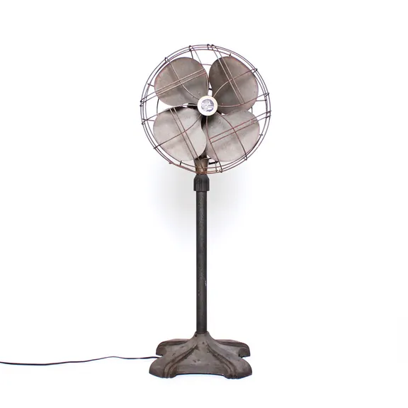 Decor - Fans collection image