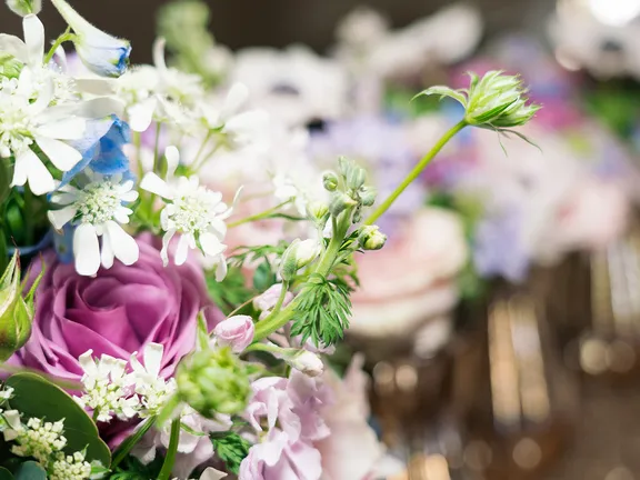 All Products collection image