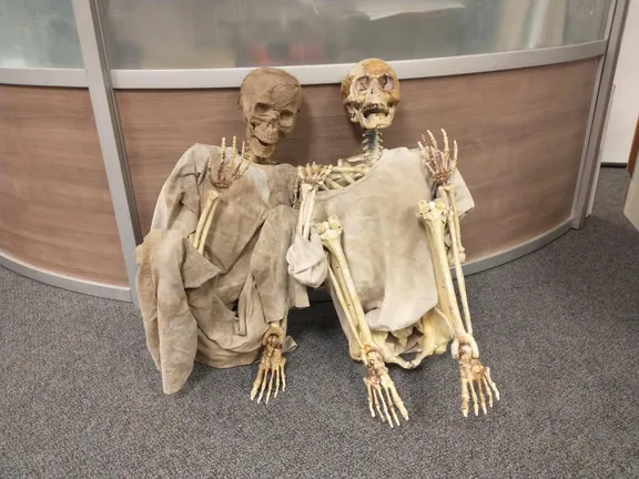 FOR SALE collection image