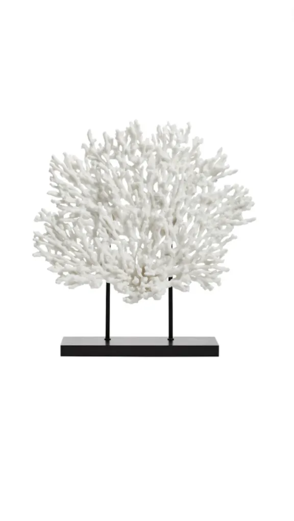 Coral collection image