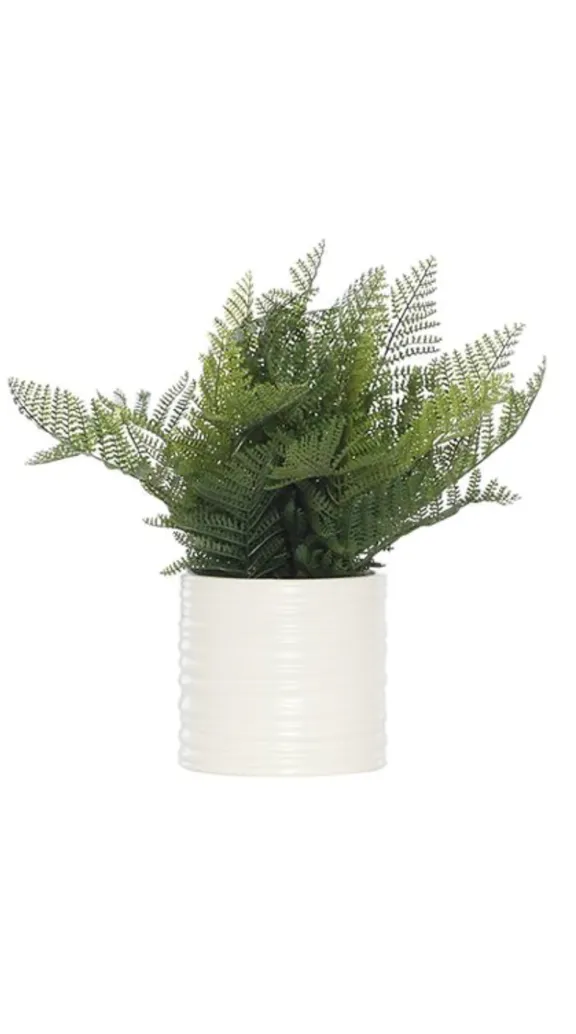 Plants collection image