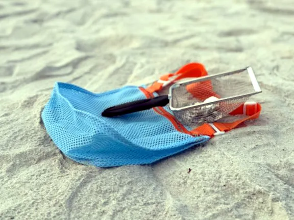 More Sun Fun collection image