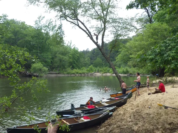 Half Day Kayak Tour From Little Rock collection image