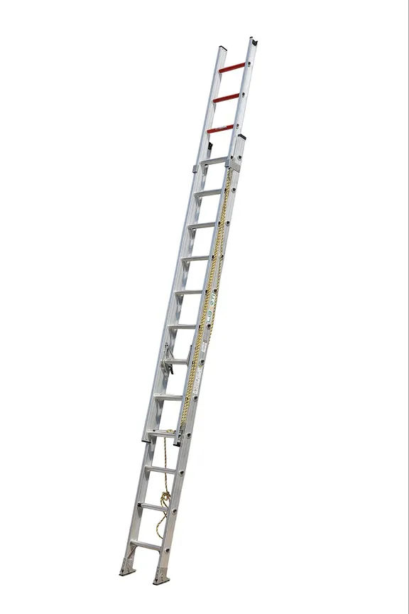 Ladders & Steps collection image