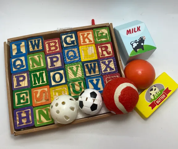 KIDS PROPS collection image