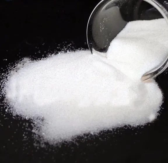 Category_HOLIDAY collection image